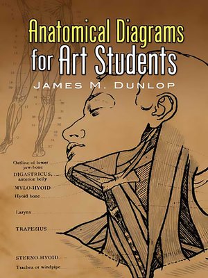 cover image of Anatomical Diagrams for Art Students